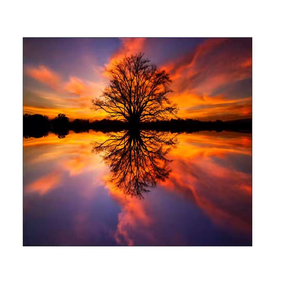 47 in. x 32 in. "Balance" Tempered Glass Wall Art